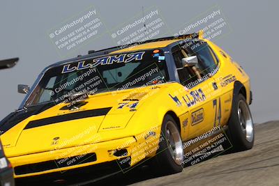 media/Sep-27-2025-24 Hours of Lemons (Sat) [[04fd3ac4ac]]/11am (Grapevine)/